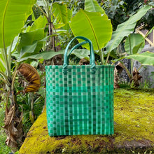 Load image into Gallery viewer, Baskets by Gaye Chan