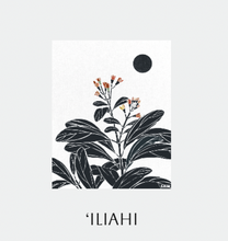 Load image into Gallery viewer, Giclée Prints by Prowlanu