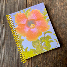 Load image into Gallery viewer, Notebooks by Pencil Urchin Press
