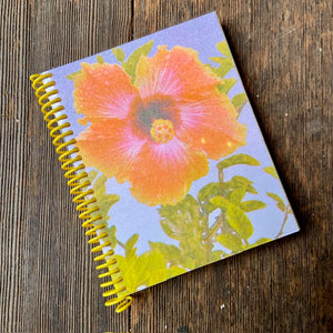 Notebooks by Pencil Urchin Press