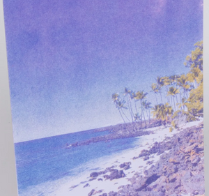 Greeting Cards by Pencil Urchin Press